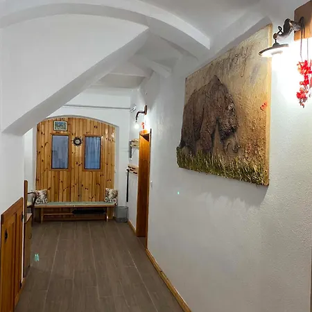 Apartma Kamncan * Visnja Gora